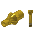 ZZ ST-BL-PCTBH-L20-G NC 3.3 (Paral Ti-Base Hex & Scr Gold)