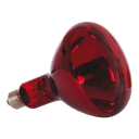 Drooglamp voor droogstation 250