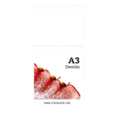 ICE Ceramic Dentine A3, 20g