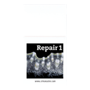 ICE Ceramic Repair 1, light colour 20g