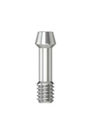 Abutment Screw / UG Angled M 2.0 [NB-RS]