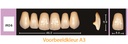 EnigmaLife+ Digital Tandenset boven A1-IRD6