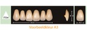 EnigmaLife+ Digital Tandenset boven A2-ITD4