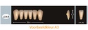 EnigmaLife+ Digital Tandenset onder A4-LD4.5