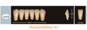 EnigmaLife+ Digital Tandenset onder A4-LD7.5
