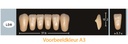 EnigmaLife+ Digital Tandenset onder B2-LD8
